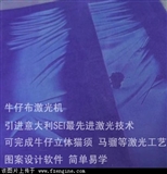 意大利牛仔猫须激光机