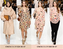 2014秋冬Chloé女装发布色彩分析