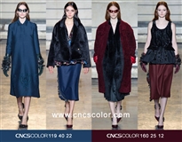 2014秋冬Rochas女装发布色彩分析