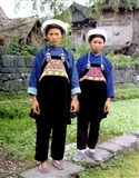 其他 (16).jpg