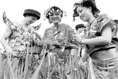 其他 (2).jpg