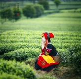 彝族姑娘 (42).jpg