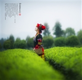 彝族姑娘 (51).jpg