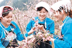 彝族姑娘 (57).jpg